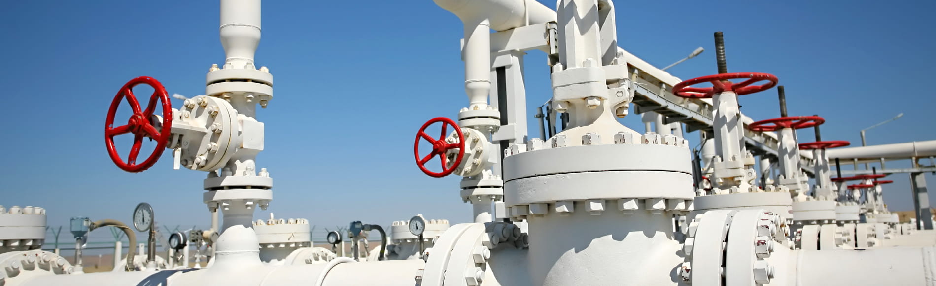 انطلاقاً من كيزاد: الفنار تحقق انتشاراً إقليمياً واسعاً