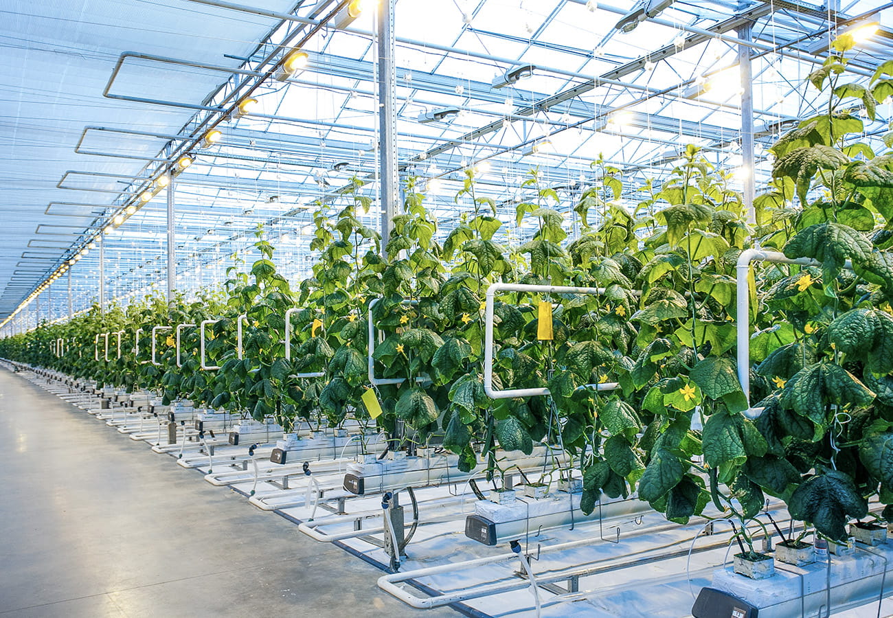 Pollution free Operating Environment