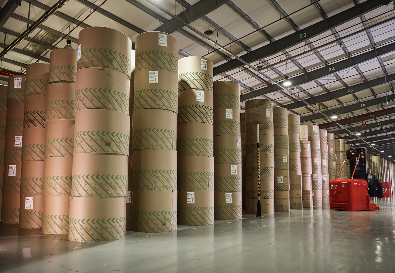 Growing Number of Businesses and Sectors